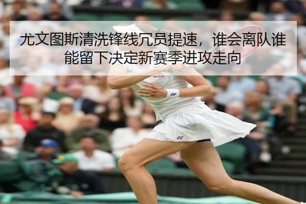 img_1782457658287_186_2_535.jpg
